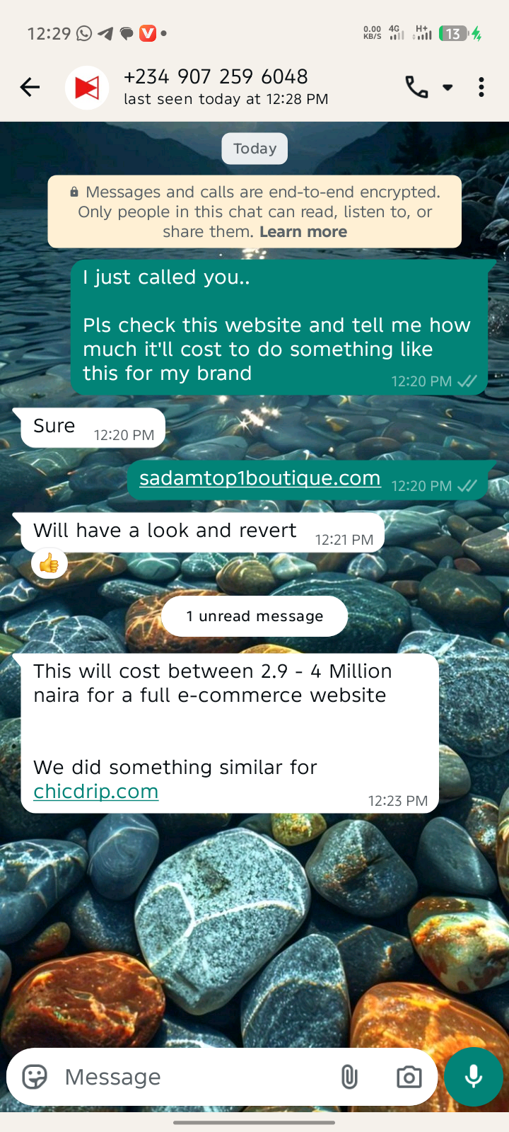 WhatsApp chat showing developer quoting ₦2.9M to ₦4M
