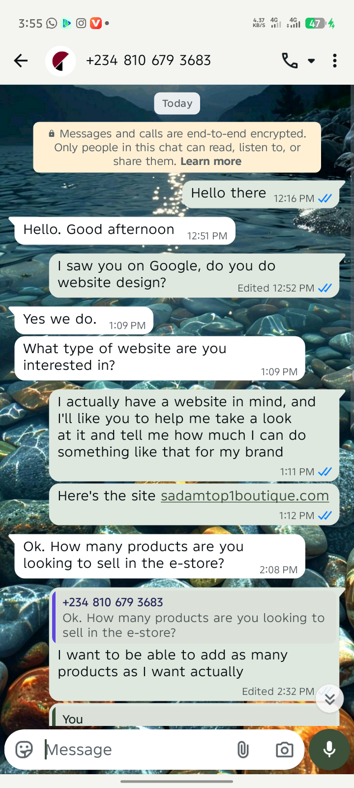 WhatsApp chat showing developer quoting ₦500k for an e-commerce website
