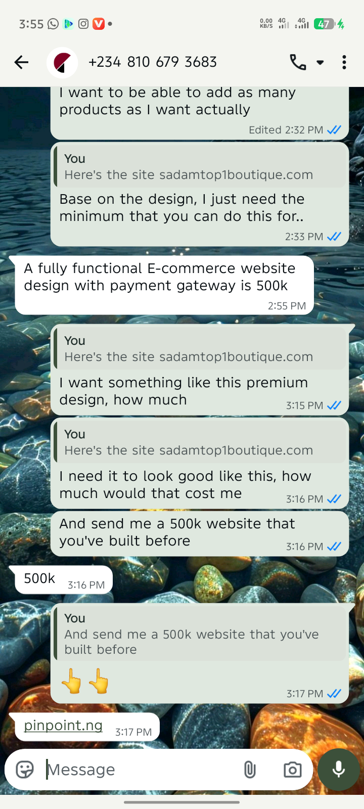 WhatsApp chat confirming ₦500k website price with portfolio link